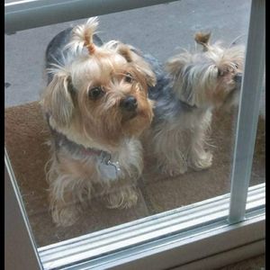 Meet your Posher, Martha